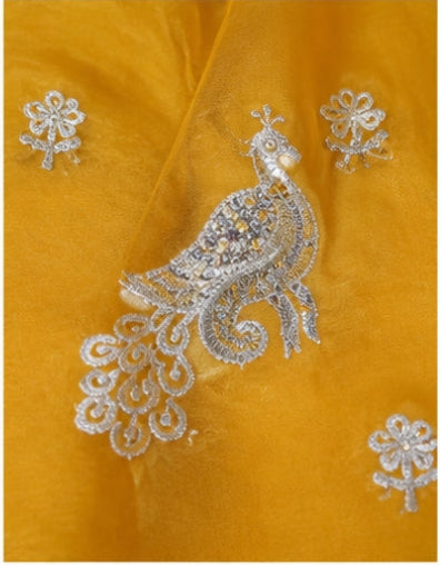Surya Peela Royal Elephant Poshak